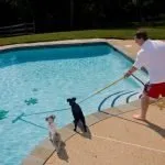 Best Pool Algaecide