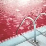 Pink Algae in Pools