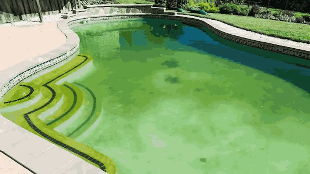 Preventing Algae
