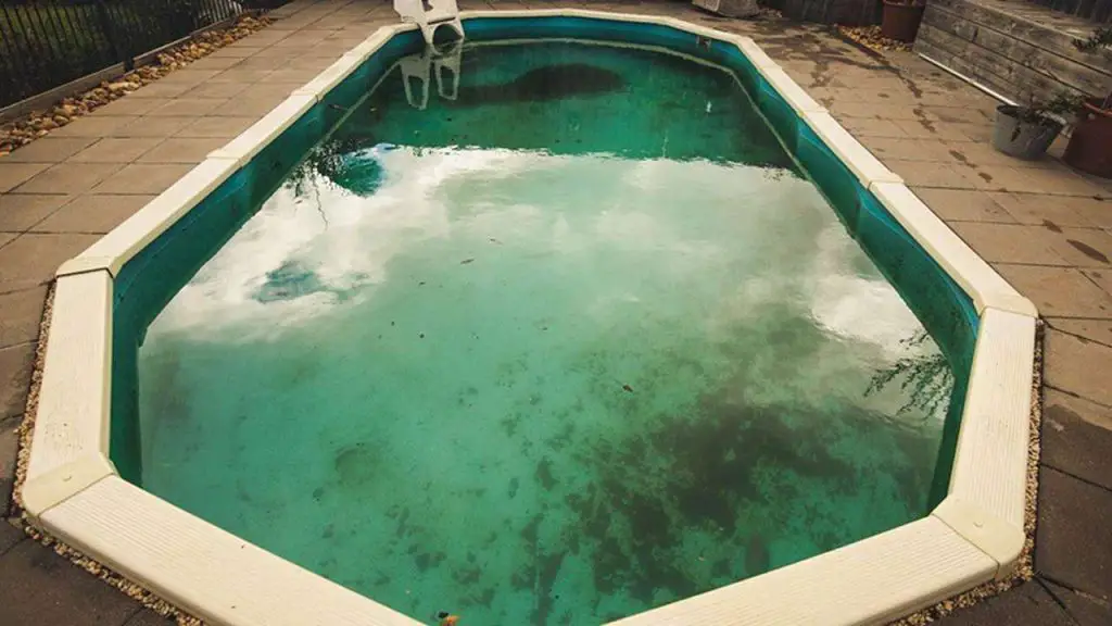 Factors to Consider When Choosing Algaecides