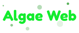 Algae Web