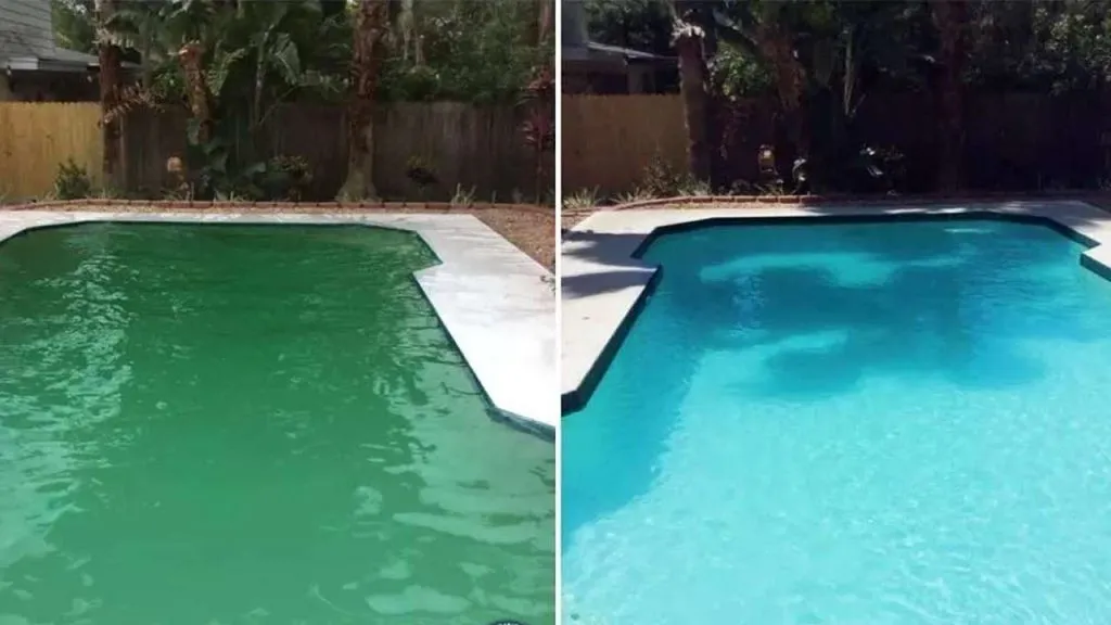 clean pool