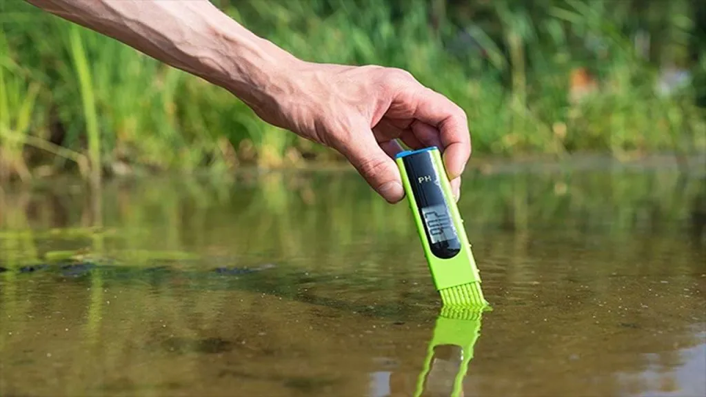 Soda in Ponds