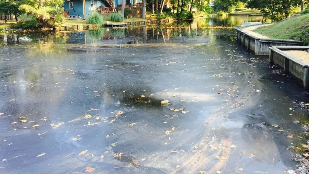 Baking Soda on Algae