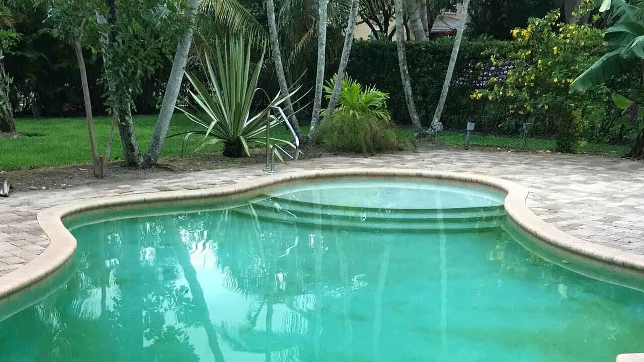 How To Get Rid Of Pool Algae Quickly