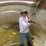 How to Remove Algae Stains from Pool Walls