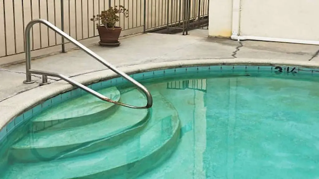 Eradicate Mustard Algae
