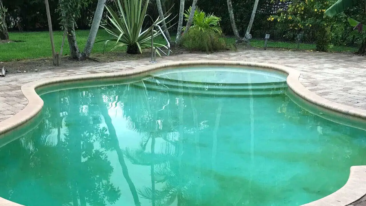 Yellow Pool Algae: Risks, Prevention, and Treatment Guide for a Sparkling Pool