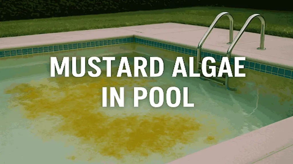 algae