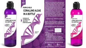 A Guide to Using Coralline Algae in a Bottle for Successful Reef Tank Maintenance