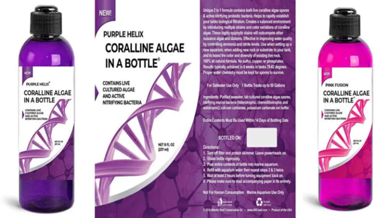 A Guide to Using Coralline Algae in a Bottle for Successful Reef Tank Maintenance