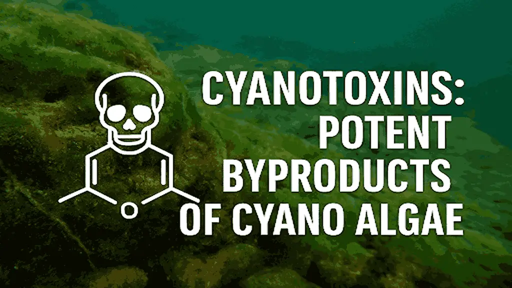 Potent Byproducts of Cyano Algae