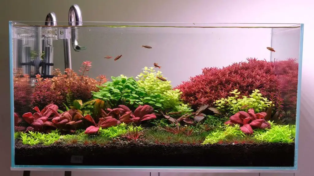Adequate Light Spread