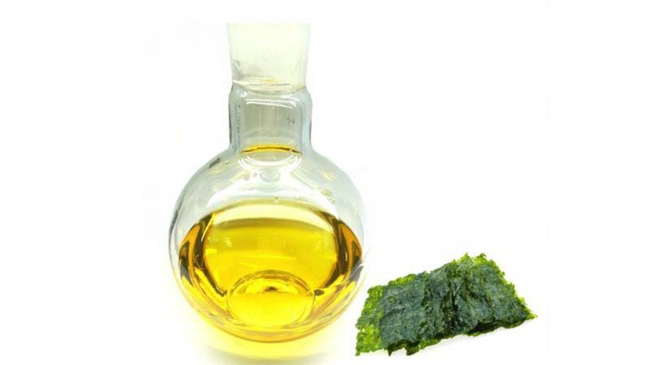 Benefits of Algae Oil