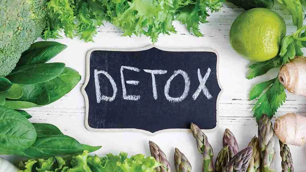 Master Detoxifier: Cleansing the Body from Environmental Toxins