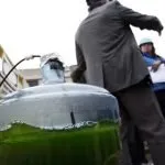 Microalgae Biofuel Production A Promising Solution for Renewable Energy