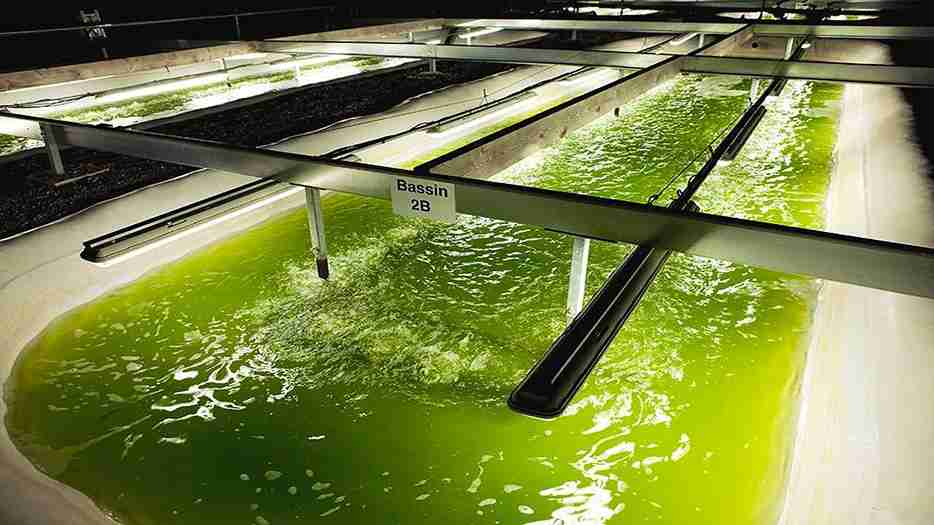 Production Process