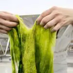 Algae-Based Bioplastics