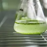 Algae in Bioelectrochemical Systems Promising Approach for Wastewater Treatment and Energy Production