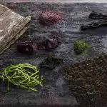 Exploring the World of Edible Seaweed Varieties and Recipes