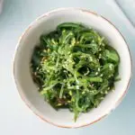 Seaweed as A Vegan Protein Source A Promising Alternative