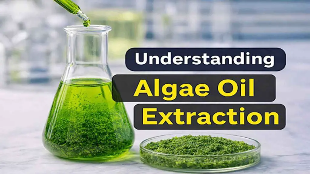 algae