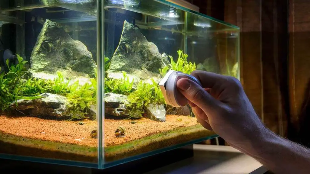 Why a Clean Tank Can Become Dangerous