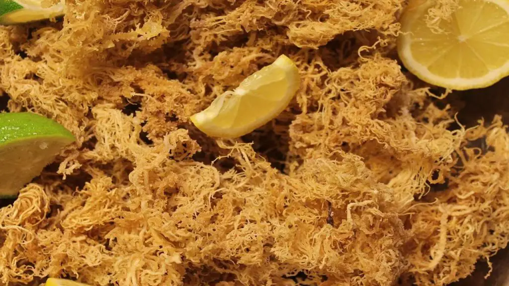Sea Moss for Eczema 