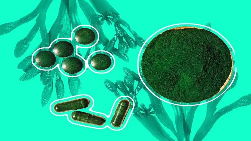 Understanding the Different Types of Seaweed Supplements