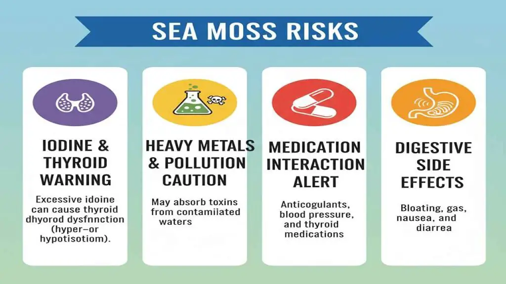 Important Considerations and Potential Risks
