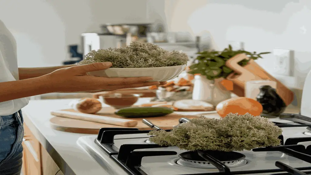 Incorporating Sea Moss into diet