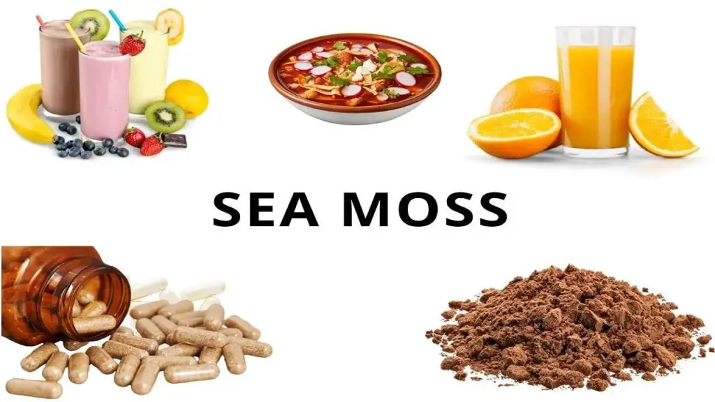 Incorporating Sea Moss