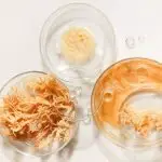 Is Sea Moss Good for Ulcerative Colitis