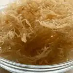 Is Sea moss good for Crohn's disease