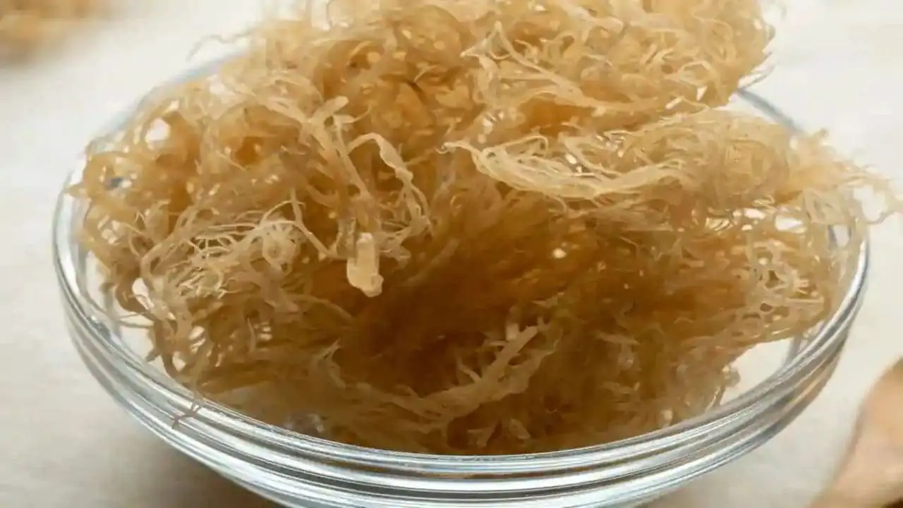 Is Sea moss good for Crohn's disease