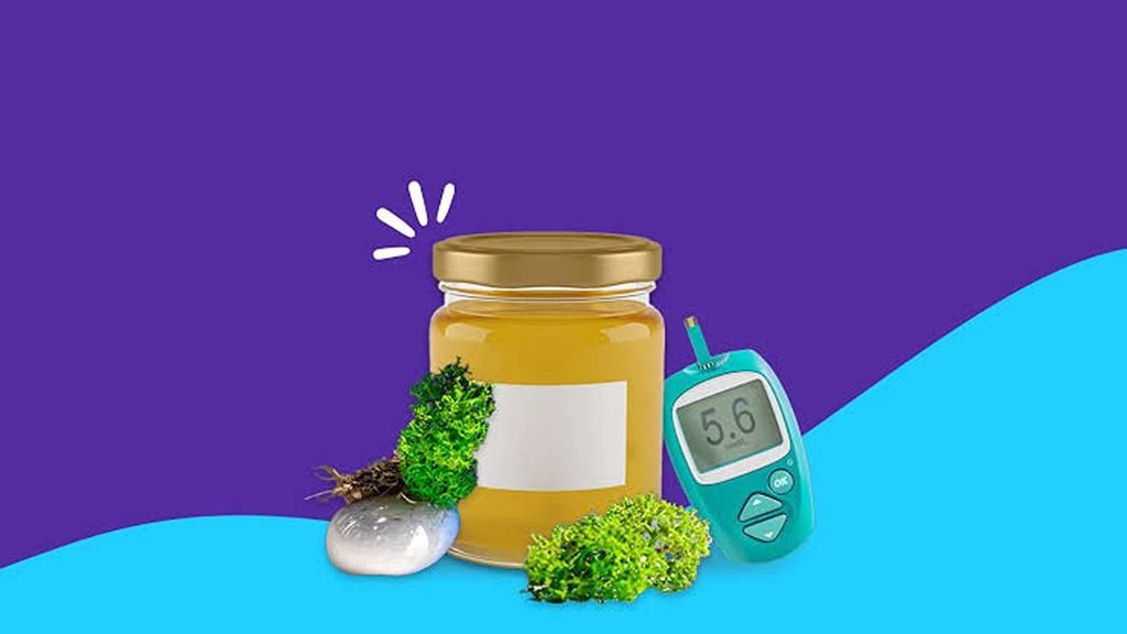 Sea Moss, Metformin, and Insulin