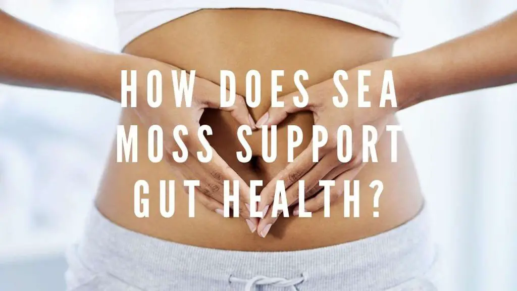 digestive health