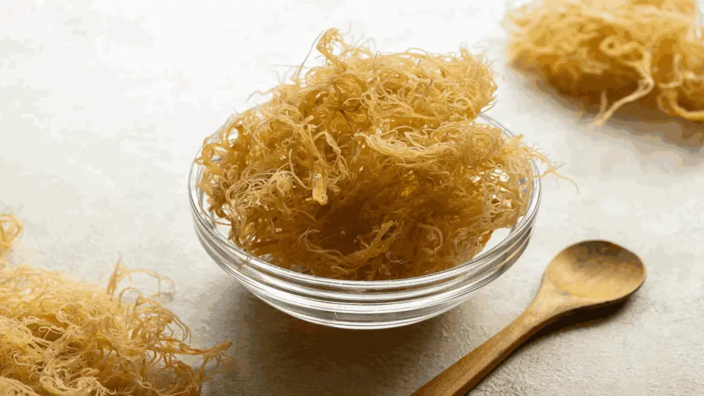 sea moss for gut health