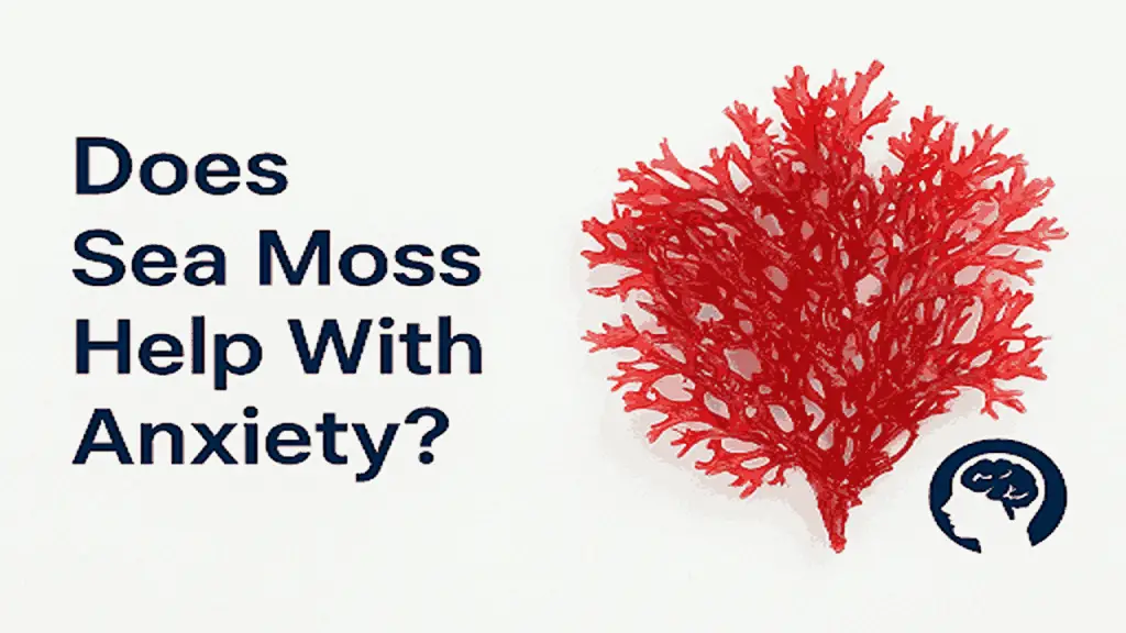 sea moss