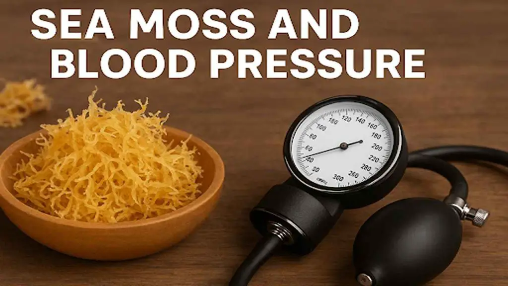 sea moss