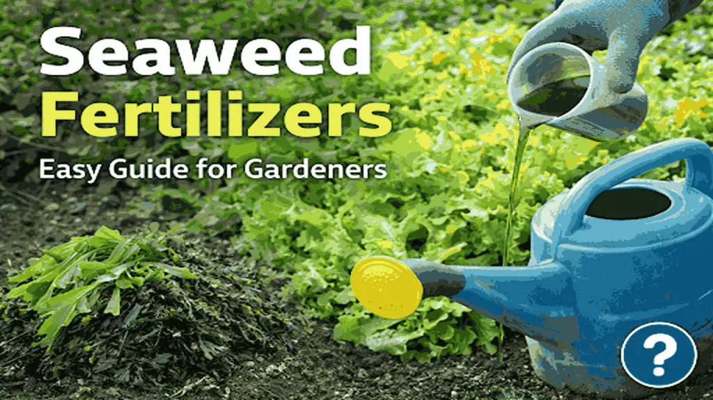 seaweed fertilizer