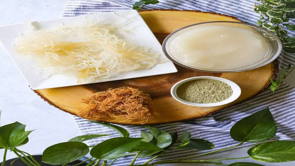 Health-Boosting Ingredients