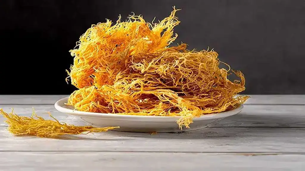 Sea Moss Benefits Hair Health