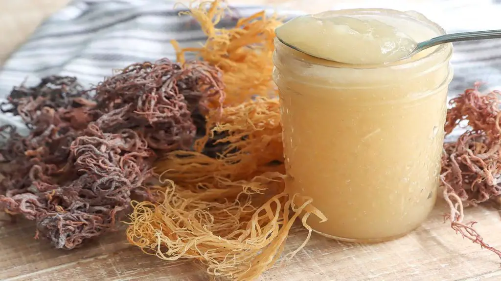 Sea Moss for COPD