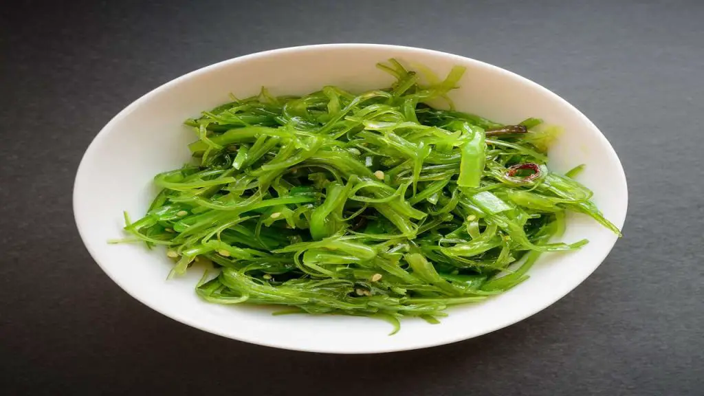 Sea Moss as Prebiotic