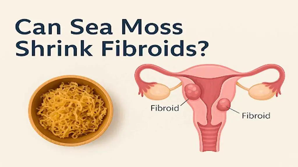 fibroids disease