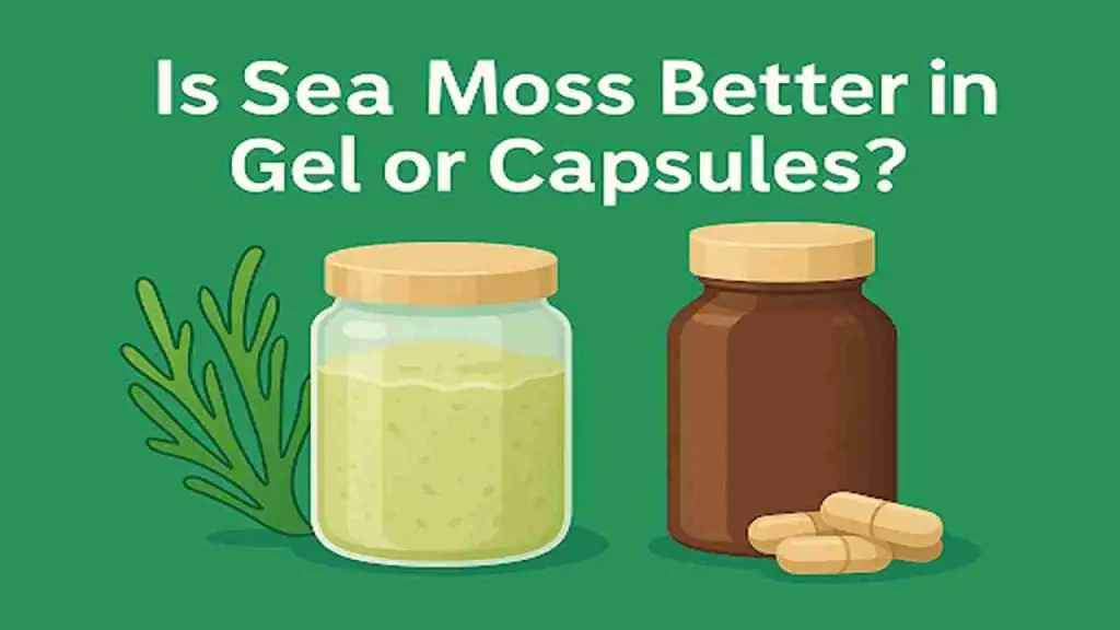 sea moss gel and capsules