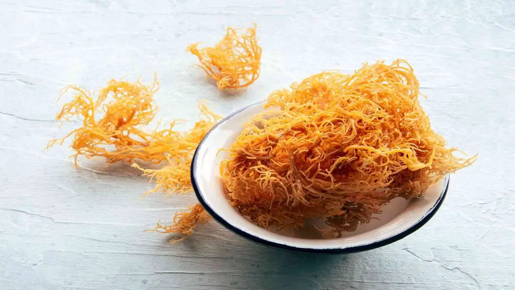 Benefits of Sea Moss