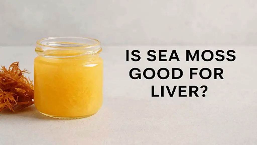 sea moss