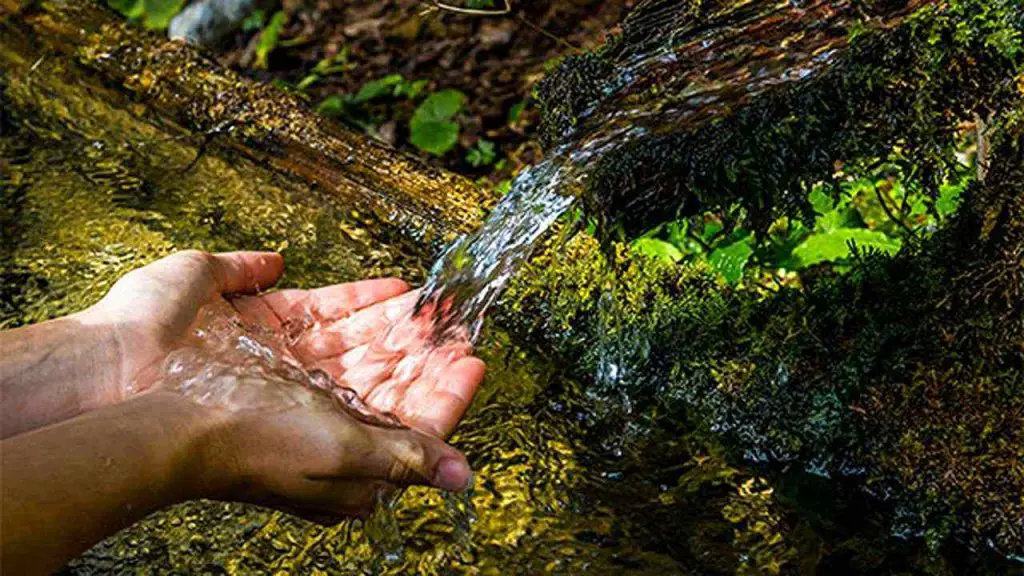 Management Practices for Freshwater 
